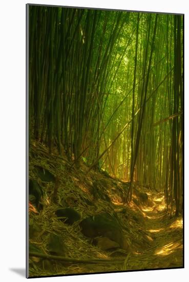 Bamboo Forest, Maui-Vincent James-Mounted Photographic Print