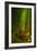 Bamboo Forest, Maui-Vincent James-Framed Photographic Print