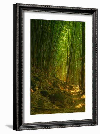 Bamboo Forest, Maui-Vincent James-Framed Photographic Print