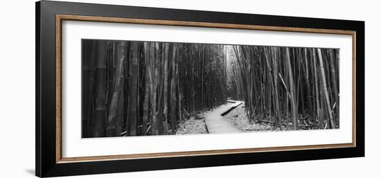 Bamboo Forest, Oheo Gulch, Seven Sacred Pools, Hana, Maui, Hawaii, USA-null-Framed Photographic Print