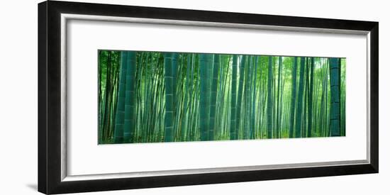 Bamboo Forest, Sagano, Kyoto, Japan-null-Framed Photographic Print