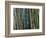 Bamboo Forest, Selby Gardens, Sarasota, Florida, USA-Adam Jones-Framed Photographic Print