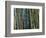 Bamboo Forest, Selby Gardens, Sarasota, Florida, USA-Adam Jones-Framed Photographic Print