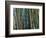 Bamboo Forest, Selby Gardens, Sarasota, Florida, USA-Adam Jones-Framed Photographic Print