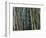 Bamboo Forest, Selby Gardens, Sarasota, Florida, USA-Adam Jones-Framed Photographic Print