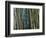 Bamboo Forest, Selby Gardens, Sarasota, Florida, USA-Adam Jones-Framed Photographic Print