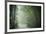 Bamboo Forest, Sichuan Province, China, Asia-Michael Snell-Framed Photographic Print