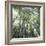 Bamboo Forest-Micha Pawlitzki-Framed Photographic Print