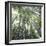 Bamboo Forest-Micha Pawlitzki-Framed Photographic Print