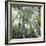 Bamboo Forest-Micha Pawlitzki-Framed Photographic Print