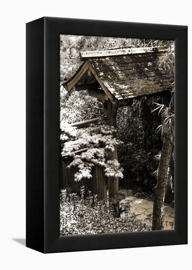 Bamboo Garden II-Alan Hausenflock-Framed Premier Image Canvas