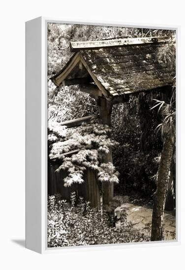 Bamboo Garden II-Alan Hausenflock-Framed Premier Image Canvas