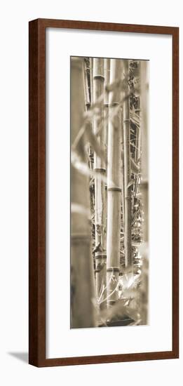 Bamboo Grove III-Douglas Yan-Framed Giclee Print