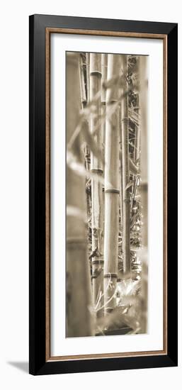 Bamboo Grove III-Douglas Yan-Framed Giclee Print