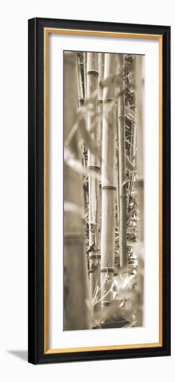 Bamboo Grove III-Douglas Yan-Framed Giclee Print