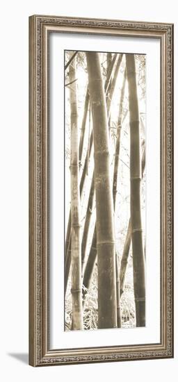 Bamboo Grove IV-Douglas Yan-Framed Giclee Print