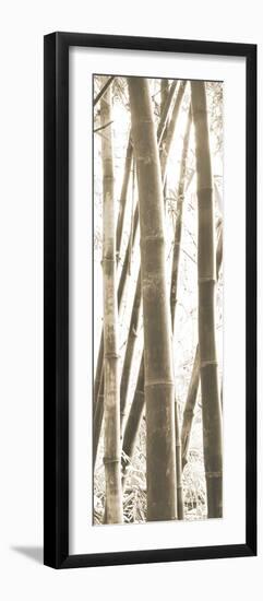 Bamboo Grove IV-Douglas Yan-Framed Giclee Print