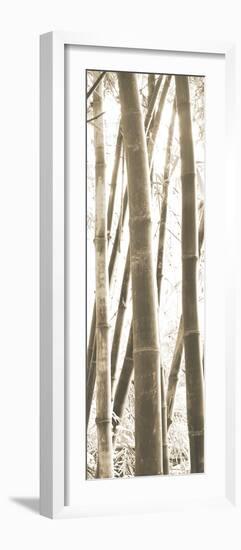 Bamboo Grove IV-Douglas Yan-Framed Giclee Print