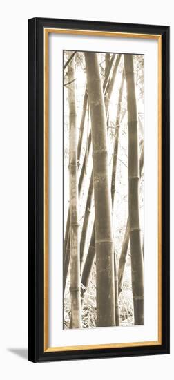 Bamboo Grove IV-Douglas Yan-Framed Giclee Print