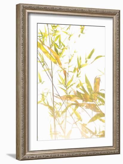 Bamboo I-Karyn Millet-Framed Photographic Print