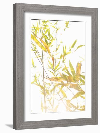 Bamboo I-Karyn Millet-Framed Photographic Print