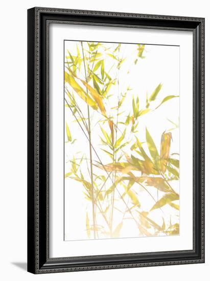 Bamboo I-Karyn Millet-Framed Photographic Print