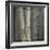 Bamboo I-Kory Fluckiger-Framed Giclee Print