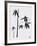 Bamboo II-Jenny Tsang-Framed Giclee Print