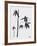 Bamboo II-Jenny Tsang-Framed Giclee Print