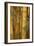 Bamboo II-Karyn Millet-Framed Photographic Print