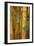 Bamboo II-Karyn Millet-Framed Photographic Print