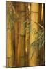 Bamboo II-Karyn Millet-Mounted Photographic Print