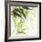 Bamboo IV Green-Chris Paschke-Framed Art Print