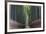 Bamboo Journey-Peter Adams-Framed Giclee Print