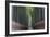 Bamboo Journey-Peter Adams-Framed Giclee Print