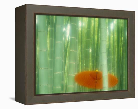 Bamboo Kyoto Japan-null-Framed Premier Image Canvas