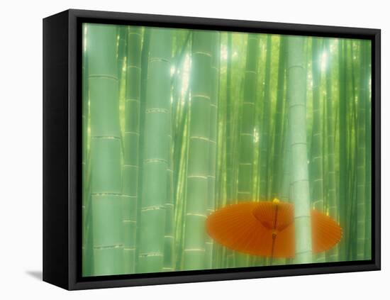 Bamboo Kyoto Japan-null-Framed Premier Image Canvas