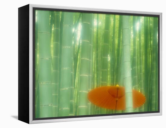 Bamboo Kyoto Japan-null-Framed Premier Image Canvas