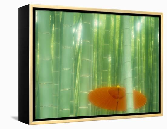 Bamboo Kyoto Japan-null-Framed Premier Image Canvas