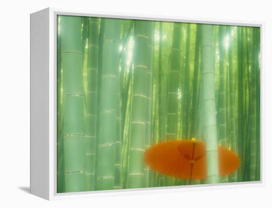 Bamboo Kyoto Japan-null-Framed Premier Image Canvas