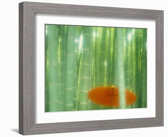 Bamboo Kyoto Japan-null-Framed Photographic Print