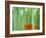 Bamboo Kyoto Japan-null-Framed Photographic Print