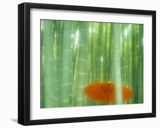 Bamboo Kyoto Japan-null-Framed Photographic Print