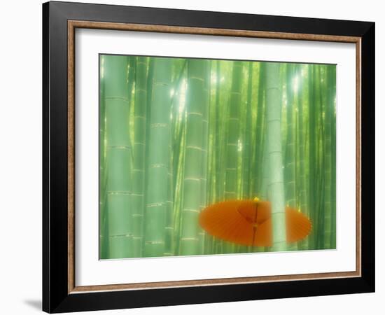 Bamboo Kyoto Japan-null-Framed Photographic Print