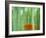 Bamboo Kyoto Japan-null-Framed Photographic Print