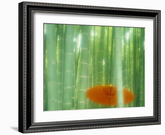 Bamboo Kyoto Japan-null-Framed Photographic Print