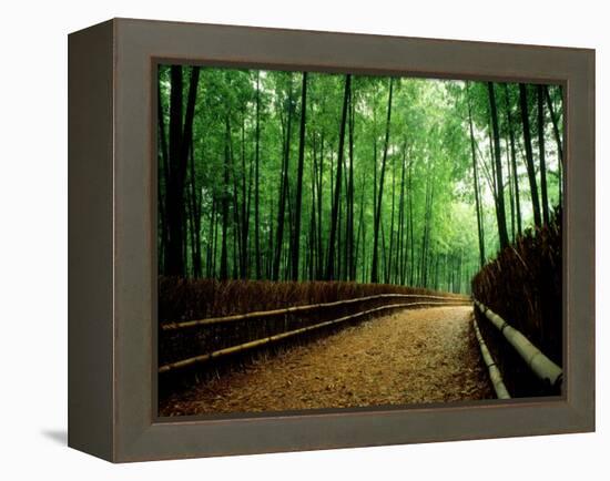 Bamboo Lane, Nishiyama, Kyoto, Japan-null-Framed Premier Image Canvas