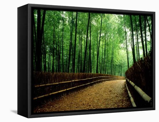 Bamboo Lane, Nishiyama, Kyoto, Japan-null-Framed Premier Image Canvas