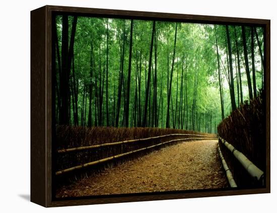 Bamboo Lane, Nishiyama, Kyoto, Japan-null-Framed Premier Image Canvas