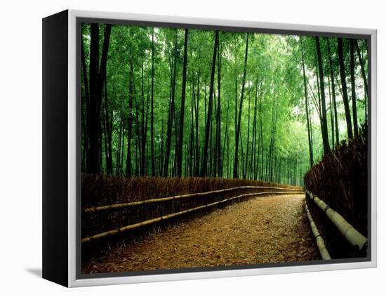 Bamboo Lane, Nishiyama, Kyoto, Japan-null-Framed Premier Image Canvas